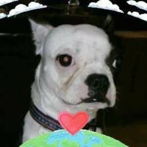 Meet your Posher, Sherry